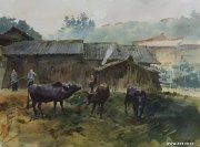 陆晓翰作品